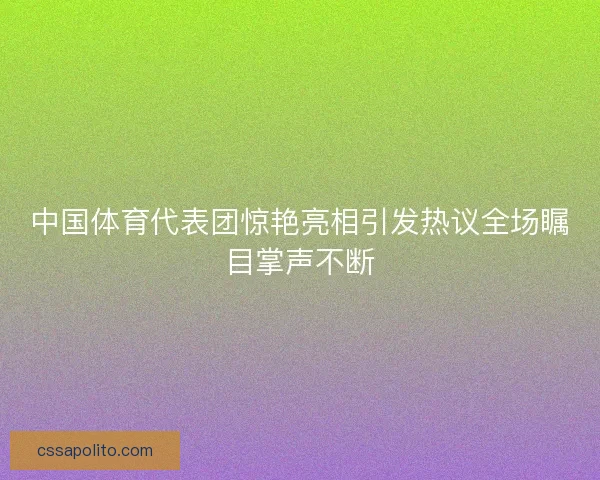 中国体育代表团惊艳亮相引发热议全场瞩目掌声不断